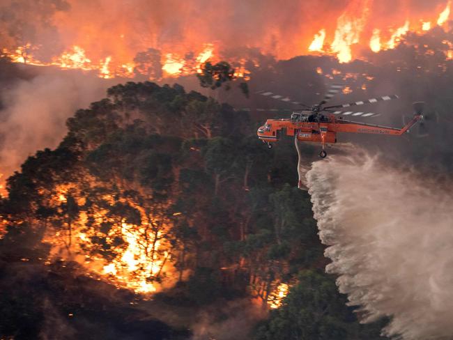 Paltry bushfire recovery fund slammed