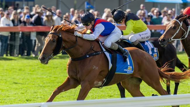 Sir Kingsford wins the Provincial Pathways Final at Morphettville in May. Picture: Makoto Kaneko