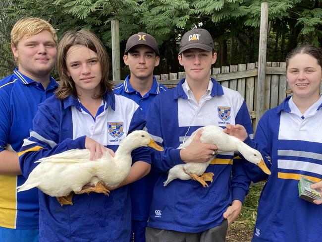 Mackay North State High School students (from left): Jacob Weir, Cee-jay Lee, Ethan Daly, Nicholas Bartolo and Jordan Creighton taking part in an AgriFutures Australia program. Picture: Contributed