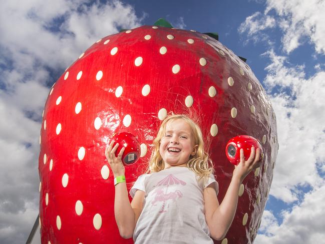 Future Victoria .Mia at the Big Strawberry which is a family-run strawberry business with a cafe, strawberry picking extra. Picture:Rob Leeson.