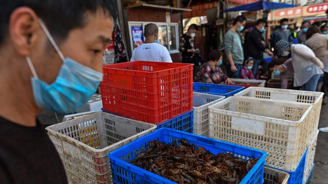 This photo taken on April 15, 2020 shows s basket of prawns at a shop at the Wuhan Baishazhou Market in Wuhan in China's central Hubei province. Picture: Hector Retamal/AFP