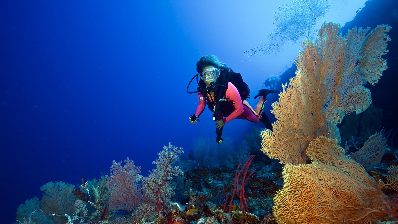 Gold Coast filmmaker’s reef conservation campaign | The Mercury