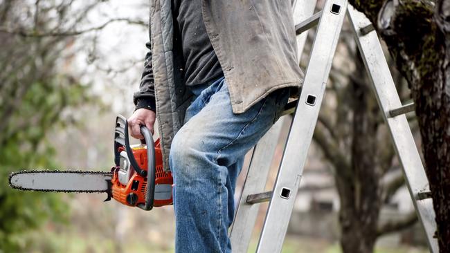 Edwards used a ladder to climb into his neighbours’ property and rob them.