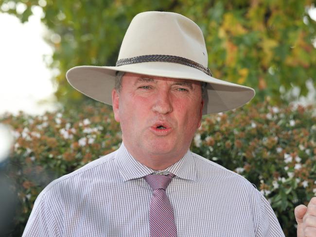 Nationals MP Barnaby Joyce earlier called for the Newstart payment to be increased. Picture: AAP