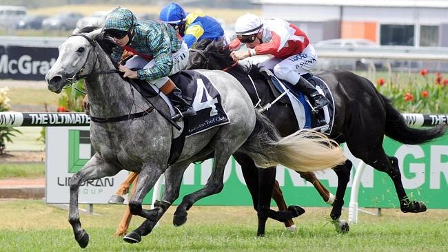 White Sage storm home to win the CSR Bradford Solar Handicap