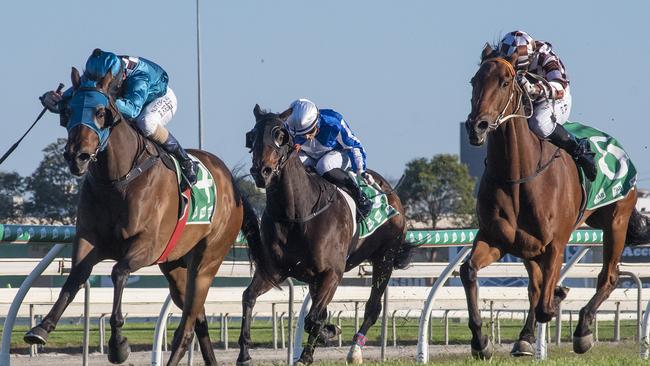 Amazingly (right) runs third to Mishani Destoyer at Gold Coast Turf Club on September 26, 2020. Picture: Greg Irvine/Magic Millions