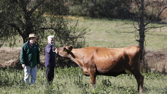 John Fairley with Adopt-A-Cow father Kevin Thomas. Picture: Robert Pozo