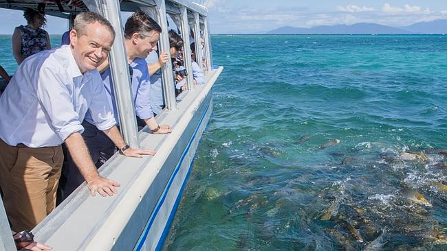 Labor leader Bill Shorten visits the Great Barrier Reef which is under threat from climate change. Picture: Jason Edwards