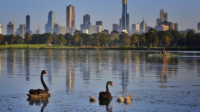 A pedestrian footbridge has been proposed for Albert Park lake.  Picture: Hamish Blair