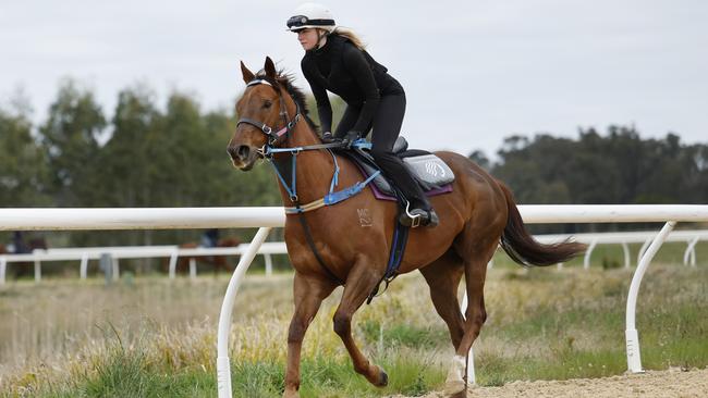 Everest runner Bella Nipotina with rider Saige Garrod. Picture: Richard Dobson