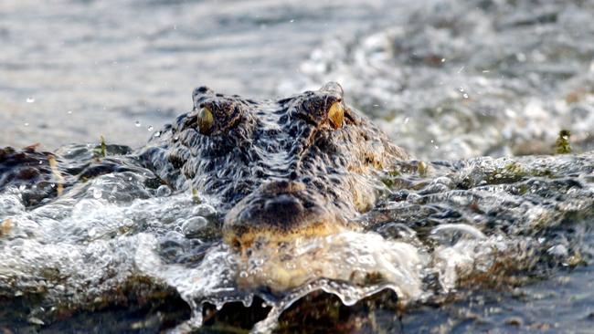 A 24-year-old man has a serious injuries to his hand after he was bitten by a croc while fishing