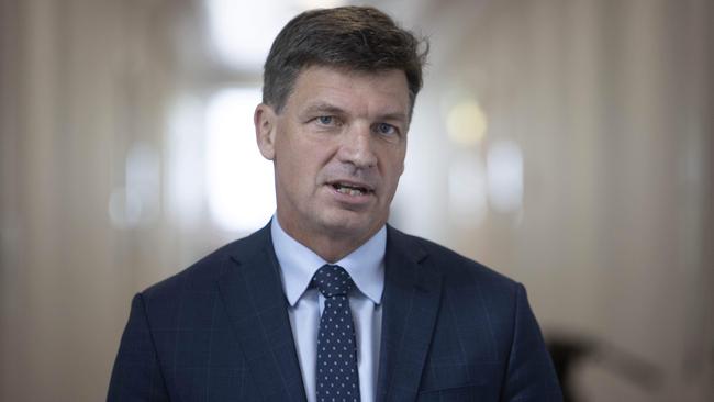 Angus Taylor, Minister for Energy and Emissions Reduction. Picture: NCA NewsWire / Gary Ramage