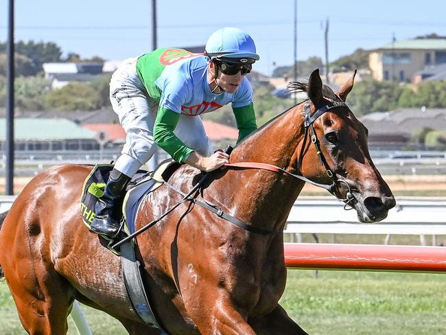 Tuvalu ridden by Jarrod Fry wins the Port Fairy IGA Port Fairy Cup at Warrnambool Racecourse on January 20, 2022 in Warrnambool, Australia. (Alice Miles/Racing Photos via Getty Images)