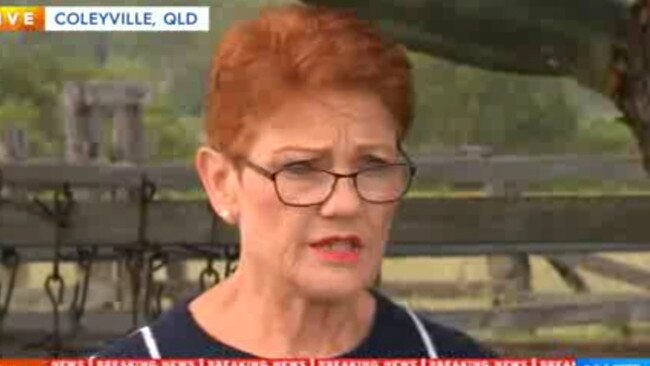 One Nation leader Pauline Hanson addressing media yesterday.