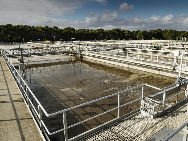 COVID-19 wastewater testing. SA Water's Bolivar Wastewater Treatment Plant. Picture: Supplied