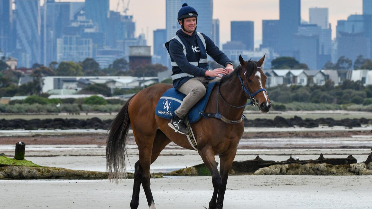 Zaaki is the favourite to win the Cox Plate. (Photo by Vince Caligiuri/Getty Images)