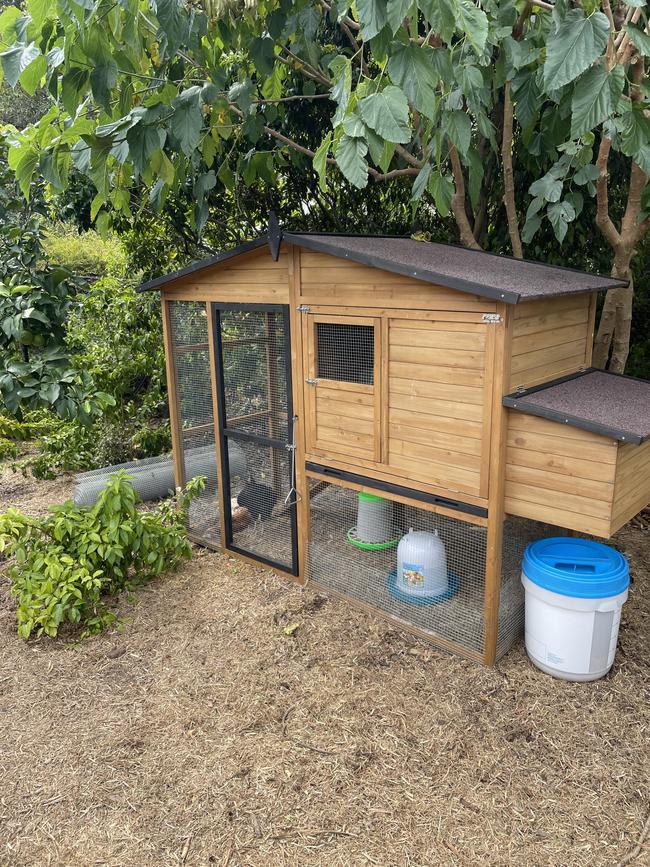 Queensland parliament has a new chicken coop, and three new hens. The last remaining chook from the first round, the Cluck of the Assembly, has absconded in protest at the new arrivals. Picture: Neil Laurie.