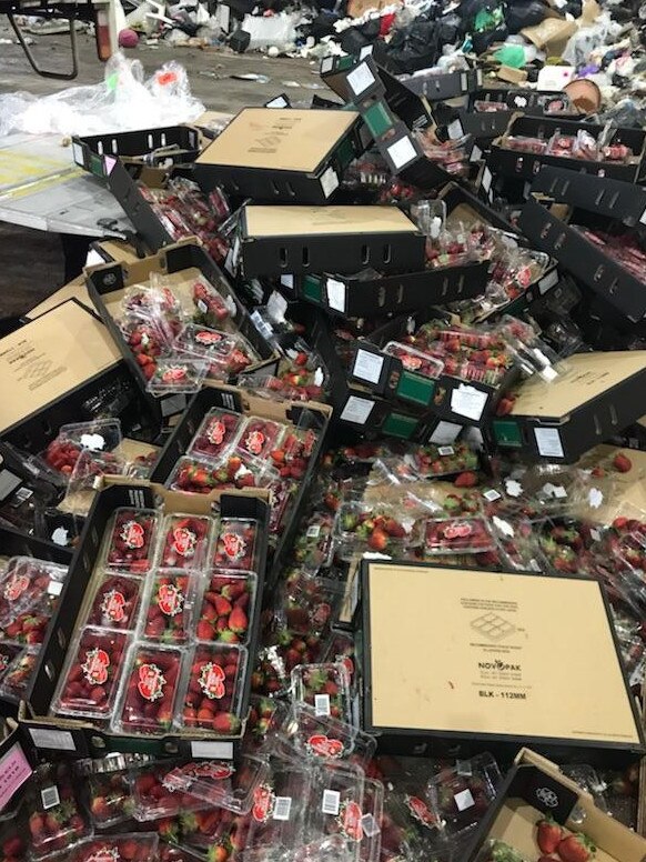 Dumped strawberries at the South Australian Produce Market. Picture: supplied