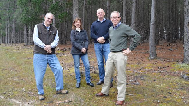 KIPT directors Graham Holdaway, Shauna Black, Paul McKenzie (chairman) and John Sergeant (managing director) at one of the company's softwood plantations. Picture: Supplied