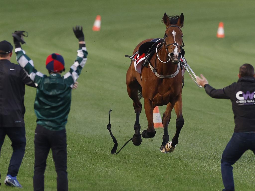 <p>At Moonee Valley&rsquo;s Breakfast with the Best track gallops, trainer Chris Waller (left) and stable connections worked to stop Via Sistina as she ran riderless after unseating champion jockey James McDonald during the session. Picture: Michael Klein.</p>