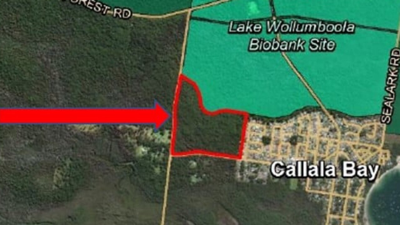 Callala Bay: Council to vote on forest’s reclassification to ...