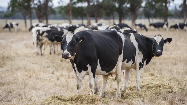 Questions are being asked why it took 16 years for Australian Dairy Farmers to be found the rightful owner of $11.2 million of dairy farmers’ money.