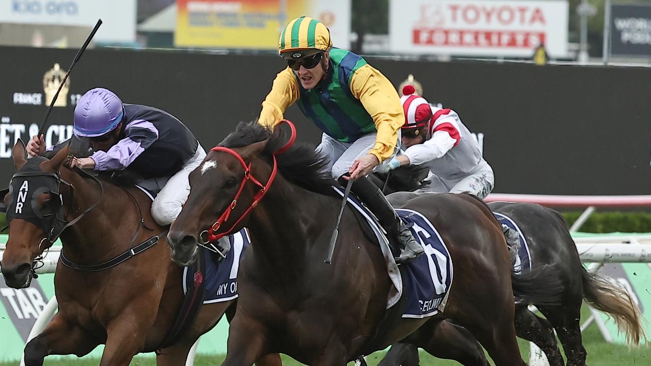 King Charles III winner Ceolwulf is a contender in the Champion Miler category. Picture: Jeremy Ng/Getty Images