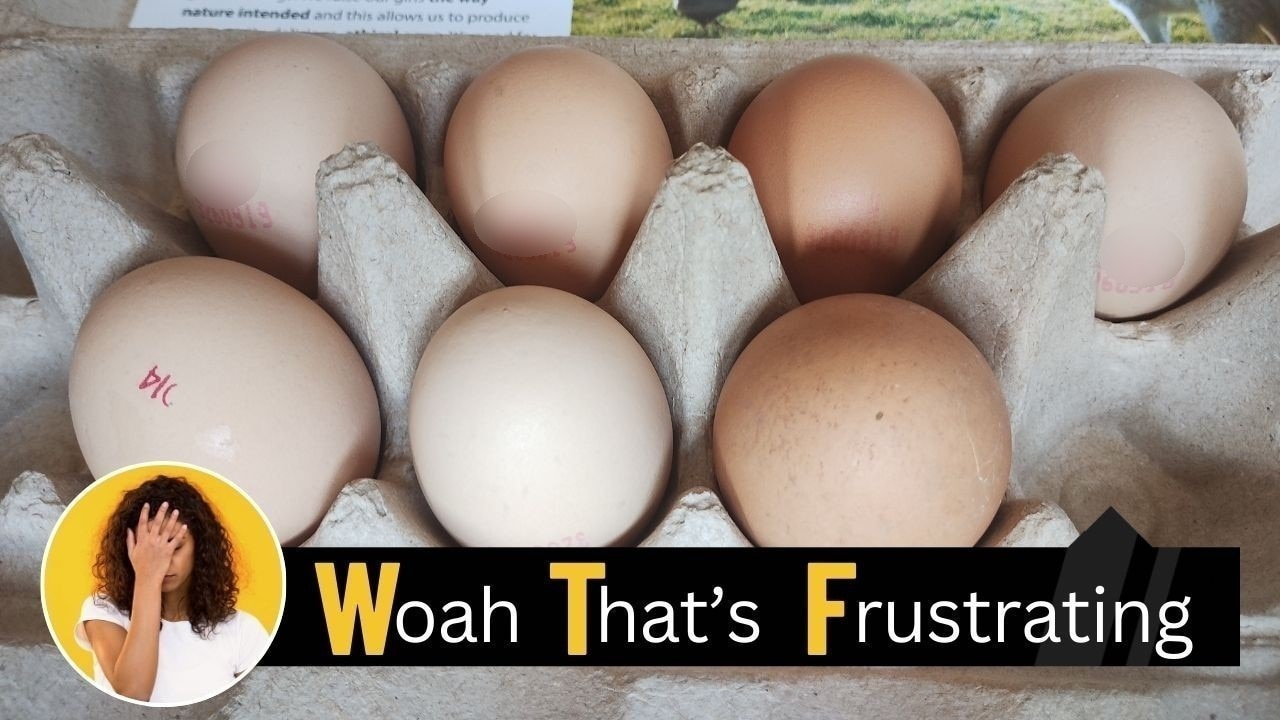 WTF: Bombshell breaking eggsclusive