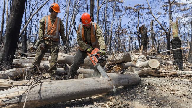 Australian Army Sapper Paul Tighe chainsaws debris in the Kelly Hill Caves Conservation Park to clear and re-open the site for tourism. Picture: AAP / Australian Defence Force