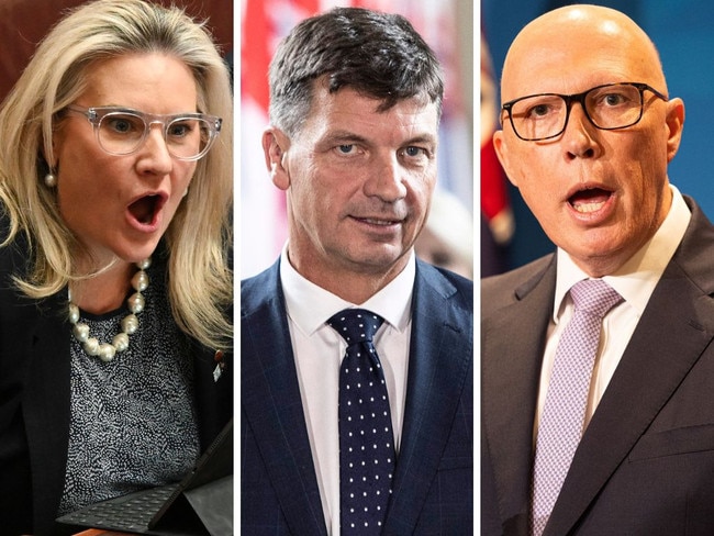 ‘Lost the plot’: Libs erupt over explosive claim