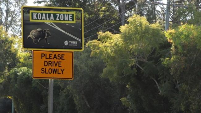 Signage at the new koala zones along Terranora Road. Picture: Supplied.