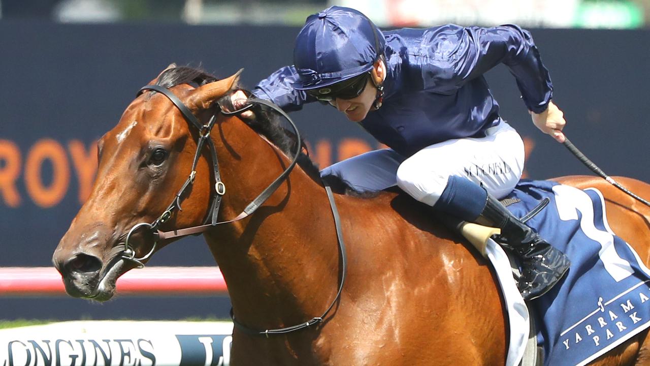 Star filly Learning To Fly can remain unbeaten with a win in the Golden Slipper. Picture: Getty Images