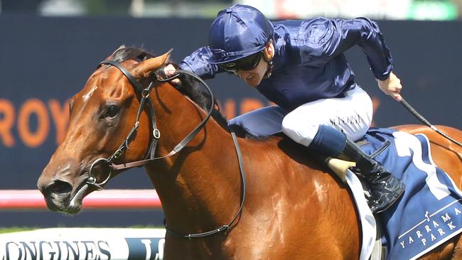 Star filly Learning To Fly can remain unbeaten with a win in the Golden Slipper. Picture: Getty Images