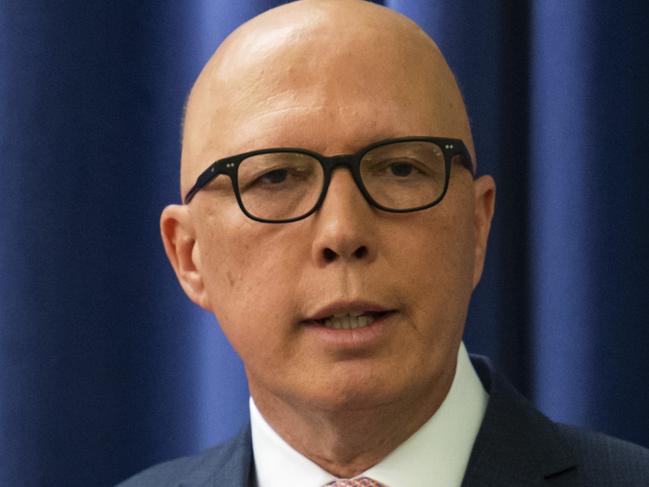 What NSW election could mean for Dutton