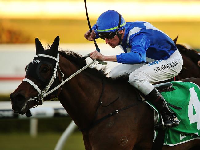 YPR Race Day at Royal Randwick. Winner of Race 8 'Imperial Hotel - Paddington Handicap', Eigelstein ridden by Nash Rawiller.