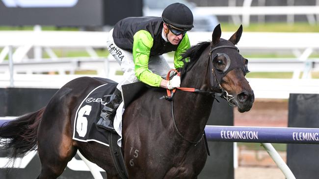 Realm Of Flowers is tracking towards the Melbourne Cup. Picture: Getty Images