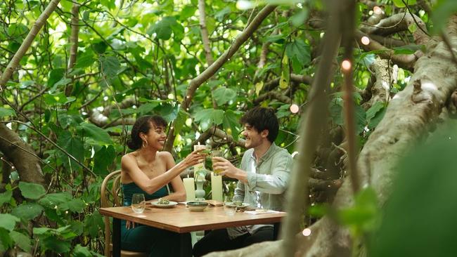 The Enchanted Fig Tree on Kangaroo Island provides diners with a unique experience. Picture: Supplied