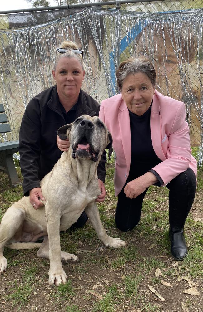 Animal Rehoming Officer Bianca Oitmann, Liverpool Deputy Mayor, Councillor Karress Rhodes and Tink. Picture: Kirsten Jelinek