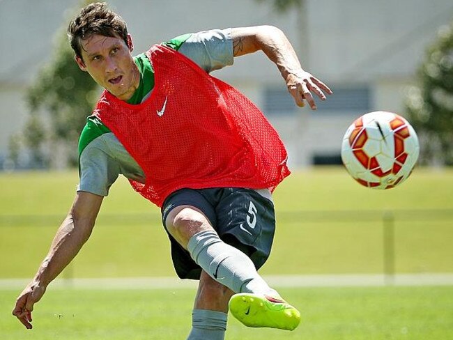 Mark Milligan is set to adopt the Mile Jedinak screening role.