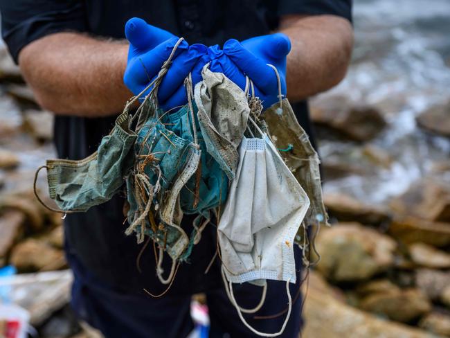 The surge in mask wearing during the coronavirus pandemic has thrown up a potent new threat to wildlife due to people thoughtlessly discarding the protective gear in massive quantities, environmentalists warn. Picture; AFP