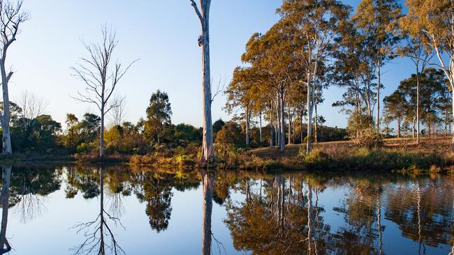 Villa World has been recognised for its community work, including helping to regenerate the Coombabah Wetlands.