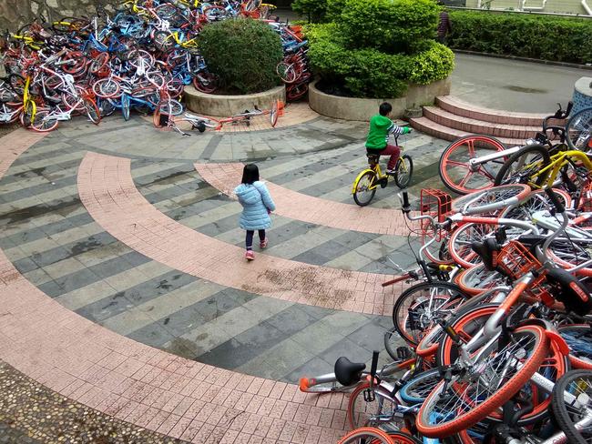 This picture taken on January 16, 2017 shows rented bicycles from bike-sharing firms near the entrance of Xiashan park in Shenzhen, Guangdong province. More than 500 bicycles from China's flourishing bike-sharing companies have been dumped in huge piles on the streets of the southern city of Shenzhen, reports said. / AFP PHOTO / STR / China OUT