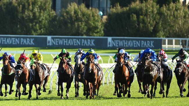 Tyler Schiller on Celestial Legend (second from the right) waits patiently for the gap.