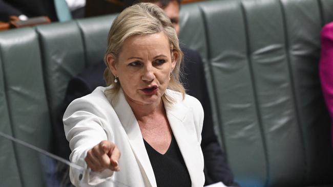 Sussan Ley has accused the government of lying. Picture: NCA NewsWire / Martin Ollman