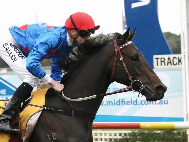 Ulmann will go around in Saturday’s Stradbroke Handicap as a fancied $9.50 chance. Picture: Wayne Ludbey