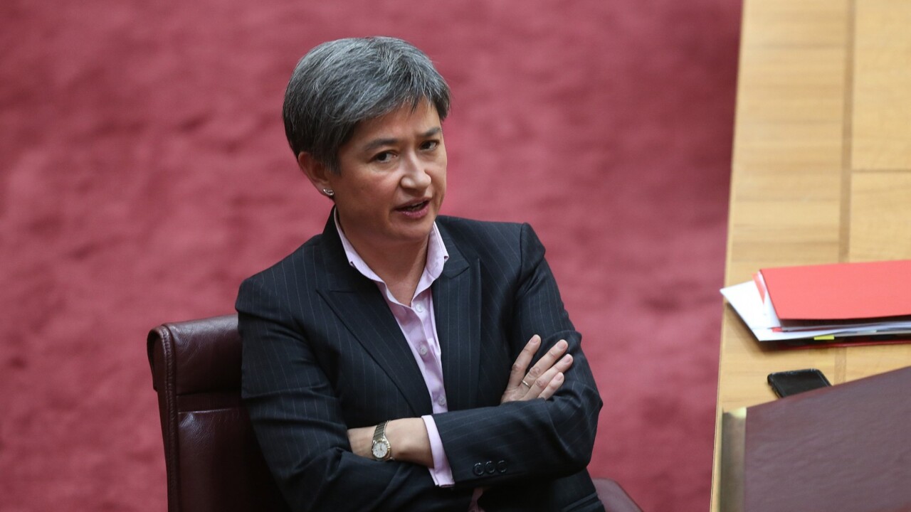 Penny Wong’s ceasefire call appears to be a ‘shift in government policy’