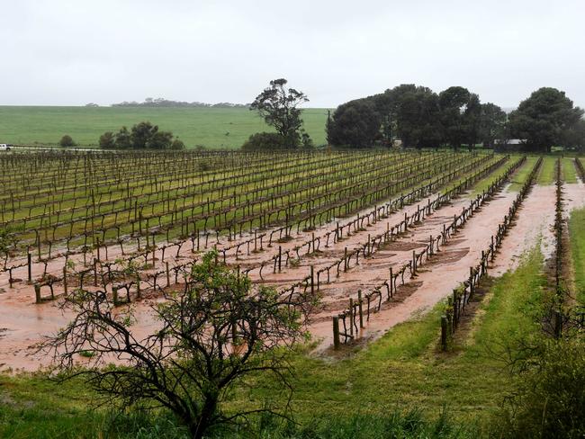 A dam at a vineyard in Greenock burst its banks, flooding the vineyard and surrounding area. Picture: Tricia Watkinson.