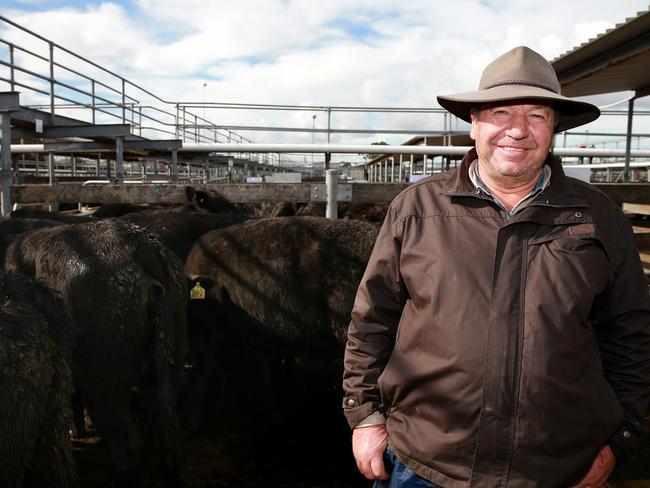 David Oldfield purchased heifers for re-stocking at the Warrnambool store sale. Picture: Andy Rogers