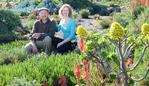 This is Michele and Attila Kapitany's garden at their property at The Lough Crt in Narre Warren North. For a Spring Gardening spread in Berwick, Cranbourne and Dandenong Leader.Picture: Lawrence Pinder