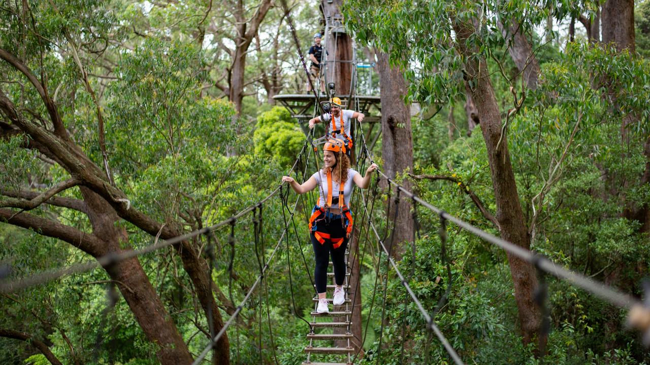 Six ziplines and nine cloud station form part of the zip line experience.